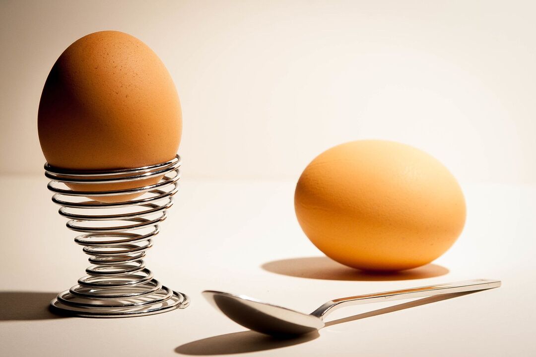 telur dalam diet protein